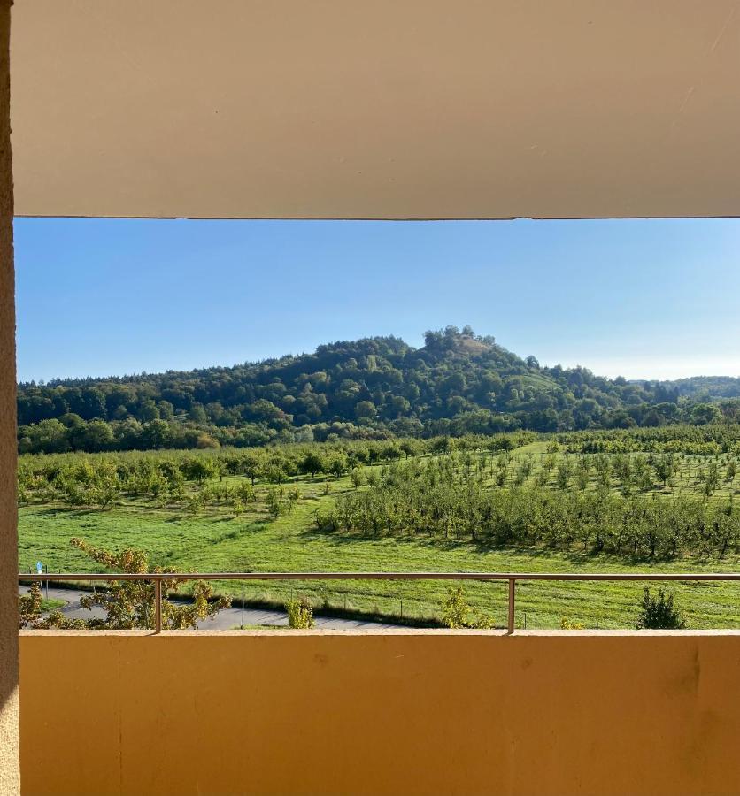 Apartment- Metzingen Metzingen  Kültér fotó